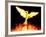 Phoenix-Christian Darkin-Framed Photographic Print