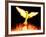 Phoenix-Christian Darkin-Framed Photographic Print