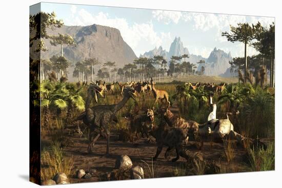 Stretched Canvas Print, , large