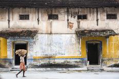 Man carrying a sack of ginger, Fort Kochi (Cochin), Kerala, India, Asia-Photo Escapes-Photographic Print