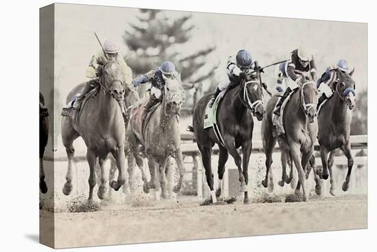 Photo Finish-Wink Gaines-Framed Stretched Canvas