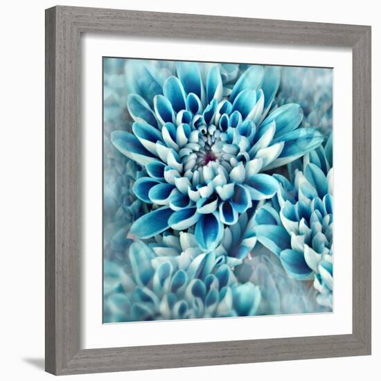 Photo Illustration of Abstract Flower Petals in Blue-Annmarie Young-Framed Photographic Print