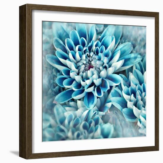 Photo Illustration of Abstract Flower Petals in Blue-Annmarie Young-Framed Photographic Print