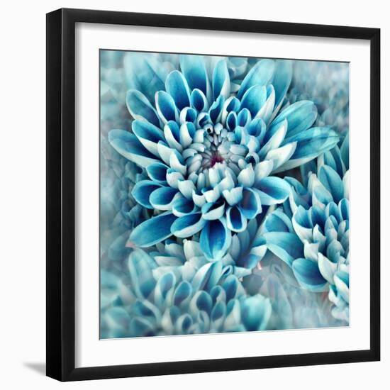 Photo Illustration of Abstract Flower Petals in Blue-Annmarie Young-Framed Photographic Print