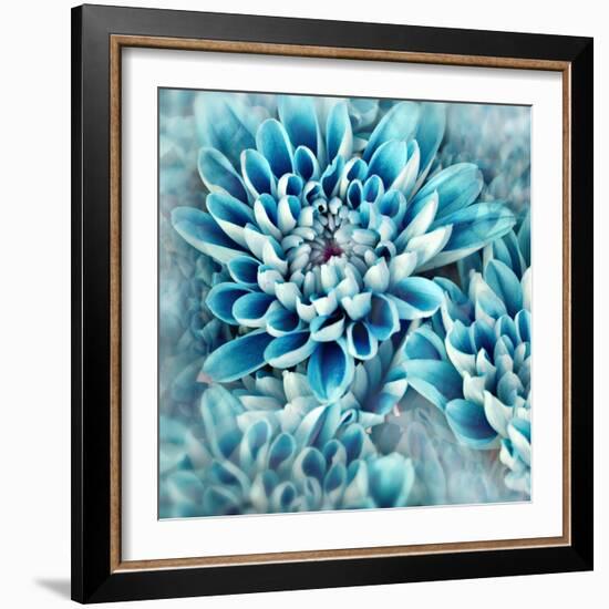 Photo Illustration of Abstract Flower Petals in Blue-Annmarie Young-Framed Photographic Print