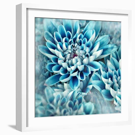 Photo Illustration of Abstract Flower Petals in Blue-Annmarie Young-Framed Photographic Print