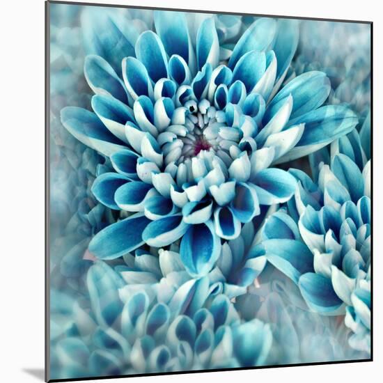 Photo Illustration of Abstract Flower Petals in Blue-Annmarie Young-Mounted Photographic Print