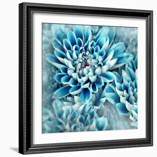 Photo Illustration of Abstract Flower Petals in Blue-Annmarie Young-Framed Photographic Print