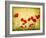 Photo Of A Poppies Pasted On A Grunge Background-Volokhatiuk-Framed Art Print