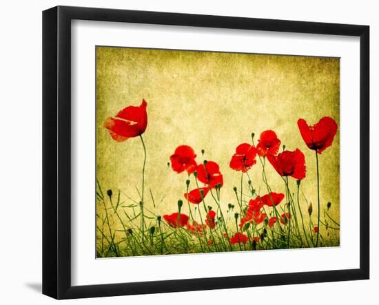 Photo Of A Poppies Pasted On A Grunge Background-Volokhatiuk-Framed Art Print
