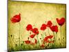 Photo Of A Poppies Pasted On A Grunge Background-Volokhatiuk-Mounted Art Print
