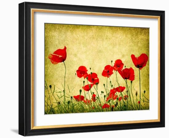 Photo Of A Poppies Pasted On A Grunge Background-Volokhatiuk-Framed Art Print