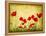 Photo Of A Poppies Pasted On A Grunge Background-Volokhatiuk-Framed Stretched Canvas