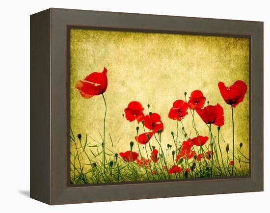 Photo Of A Poppies Pasted On A Grunge Background-Volokhatiuk-Framed Stretched Canvas