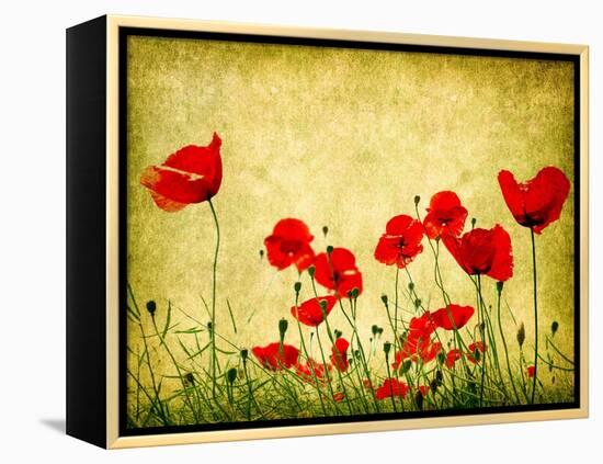 Photo Of A Poppies Pasted On A Grunge Background-Volokhatiuk-Framed Stretched Canvas