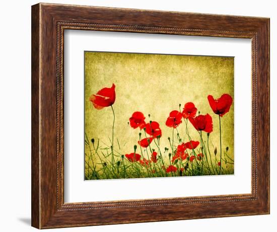 Photo Of A Poppies Pasted On A Grunge Background-Volokhatiuk-Framed Art Print