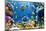 Photo of a Tropical Fish on a Coral Reef-Irochka-Mounted Photographic Print