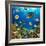 Photo of a Tropical Fish on a Coral Reef-Irochka-Framed Photographic Print