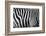 Photo Of A Zebra Texture Black And White-Pavelmidi-Framed Photographic Print