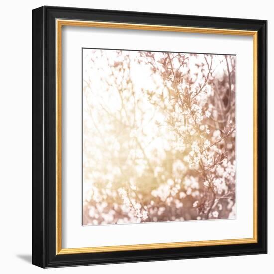 Photo of Beautiful Cherry Blossom-Anna Omelchenko-Framed Art Print