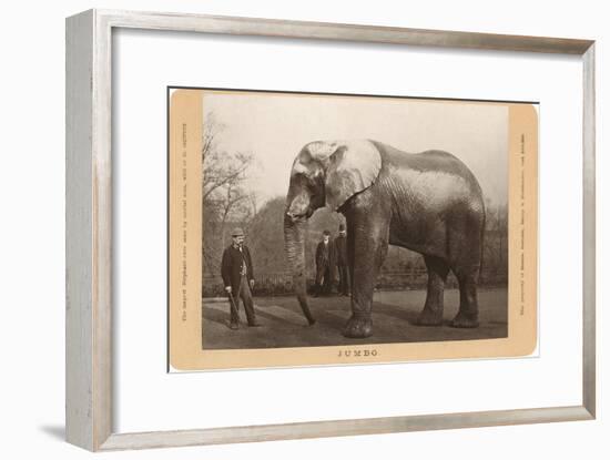 Photo of Jumbo the Elephant-null-Framed Art Print