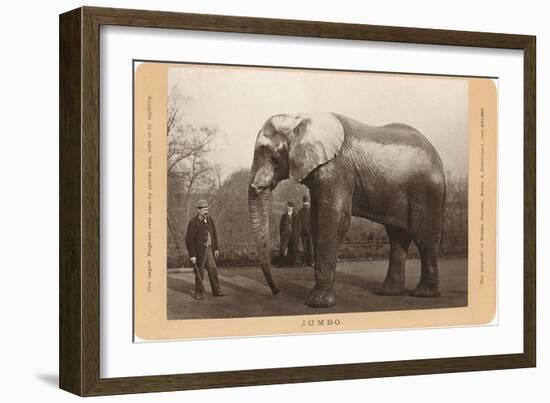 Photo of Jumbo the Elephant-null-Framed Art Print