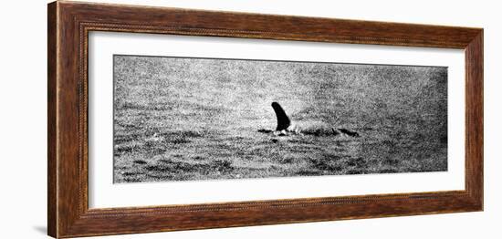 Photo of the Loch Ness Monster?-null-Framed Photographic Print