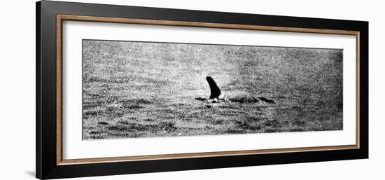 Photo of the Loch Ness Monster?-null-Framed Photographic Print