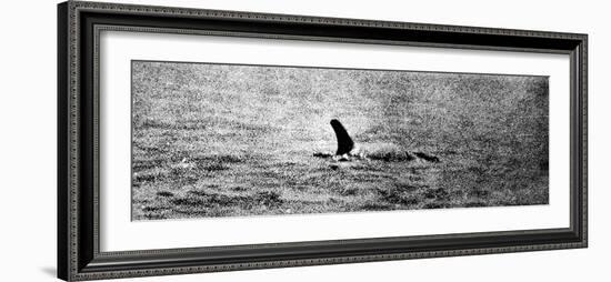 Photo of the Loch Ness Monster?-null-Framed Photographic Print