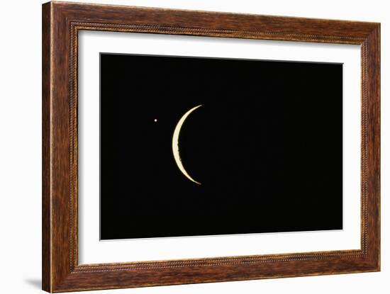 Photo of Venus & Crescent Moon-Fred Espenak-Framed Photographic Print