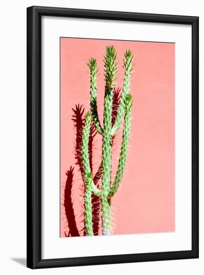 Photo Picture of a Tropical Cactus Texture Background-underworld-Framed Photographic Print