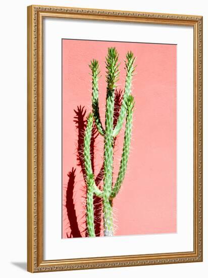 Photo Picture of a Tropical Cactus Texture Background-underworld-Framed Photographic Print