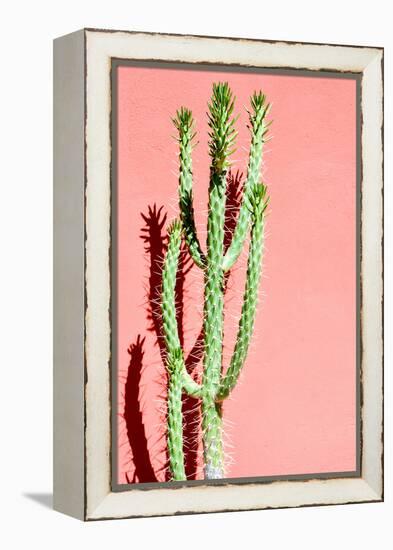 Photo Picture of a Tropical Cactus Texture Background-underworld-Framed Premier Image Canvas