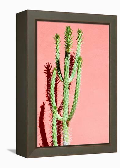 Photo Picture of a Tropical Cactus Texture Background-underworld-Framed Premier Image Canvas