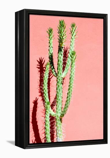 Photo Picture of a Tropical Cactus Texture Background-underworld-Framed Premier Image Canvas