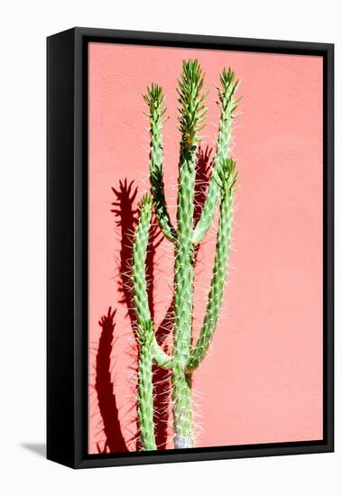 Photo Picture of a Tropical Cactus Texture Background-underworld-Framed Premier Image Canvas