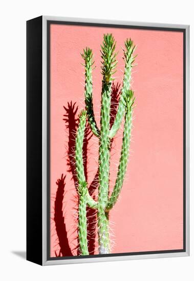 Photo Picture of a Tropical Cactus Texture Background-underworld-Framed Premier Image Canvas