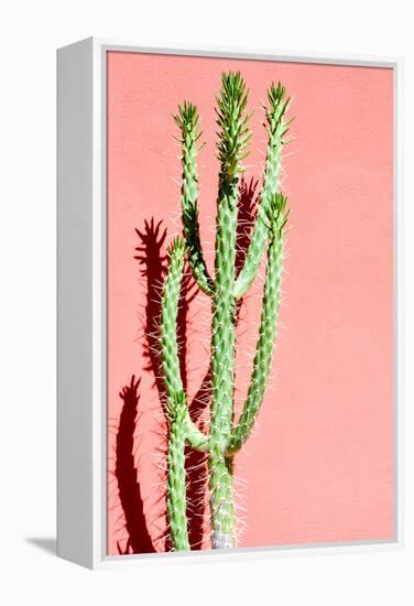 Photo Picture of a Tropical Cactus Texture Background-underworld-Framed Premier Image Canvas