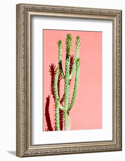 Photo Picture of a Tropical Cactus Texture Background-underworld-Framed Photographic Print