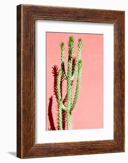 Photo Picture of a Tropical Cactus Texture Background-underworld-Framed Photographic Print