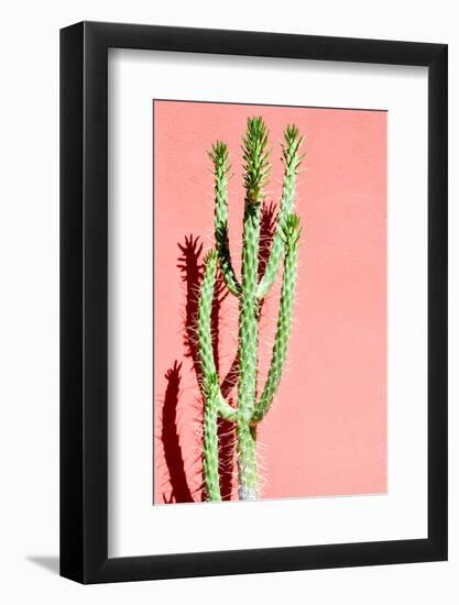 Photo Picture of a Tropical Cactus Texture Background-underworld-Framed Photographic Print