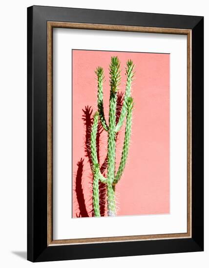 Photo Picture of a Tropical Cactus Texture Background-underworld-Framed Photographic Print