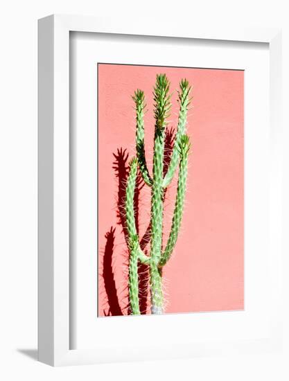 Photo Picture of a Tropical Cactus Texture Background-underworld-Framed Photographic Print