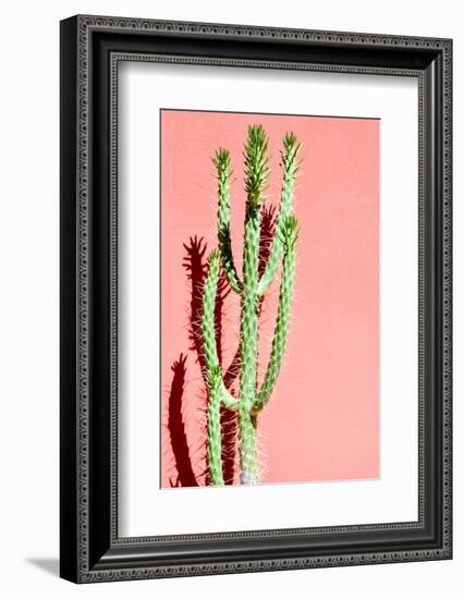 Photo Picture of a Tropical Cactus Texture Background-underworld-Framed Photographic Print