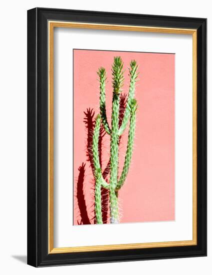 Photo Picture of a Tropical Cactus Texture Background-underworld-Framed Photographic Print