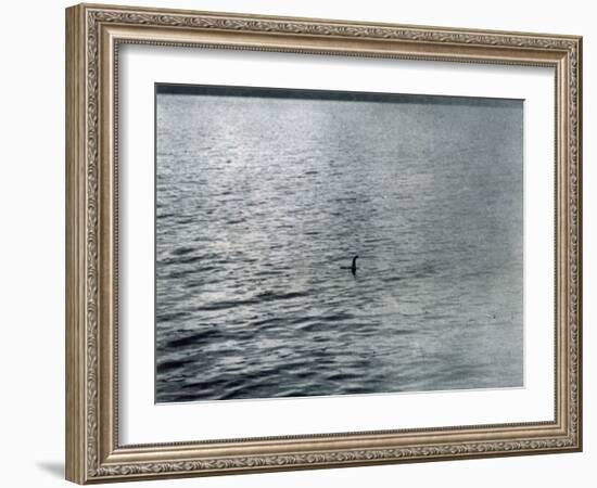 Photo Taken at 7.30 AM on (Probably) 19 April 1934-Radcliffe Wilson-Framed Photographic Print