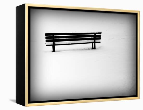 Photobird-Sharon Wish-Framed Premier Image Canvas