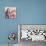 Photobomb 2-Jennifer Redstreake Geary-Premium Giclee Print displayed on a wall