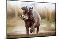 Premium Photographic Print