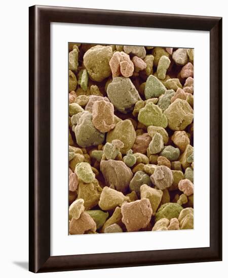 Photocopier Toner Particles, SEM-Susumu Nishinaga-Framed Photographic Print